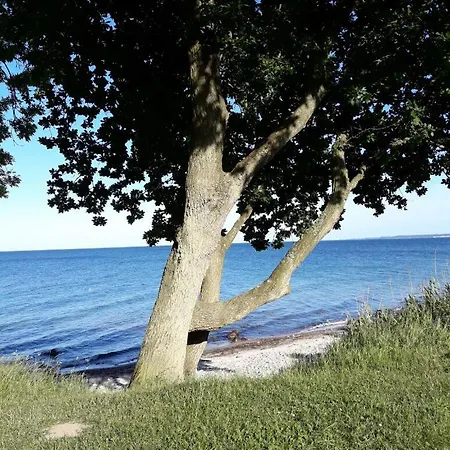 Ur B A N ' S Im Ostseebad D A M P *